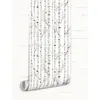 Coloray Fototapete 312x219 cm An Einer Wand Latex Produktbild-Vorschau 4