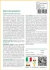 SAFLAX Garden in the bag - Albero del pomodoro - 50 semi - Anteprima dell’immagine prodotto 3