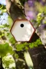 Capi Europe - Vogelhaus rund Hive  - Grün Produktbild-Vorschau 2