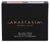 Anastasia Beverly Hills Blush Trio 3x3gr - Pool Party 9 g Produktbild-Vorschau 4