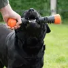 Chien Comets Meteor Wurfstock - Orange / L Voir les images du produit 6