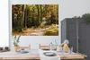 MuchoWow® Poster Waldlehrpfad im Nationalpark Bayerischer Produktbild-Vorschau 3