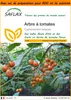 SAFLAX Garden in the bag - Arbre à tomates - 50 graines - Voir les images du produit 1