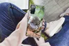 MuchoWow® Handyhülle Schutzhülle Hülle für Samsung Galaxy Produktbild-Vorschau 3