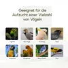 Vogelkäfige, Vogelkäfig, 90cm Voliere, Vogelhaus mit Produktbild-Vorschau 6