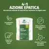 Liver Cleanse - Nettoyage avec Chardon-Marie, Artichaut et Voir les images du produit 6