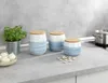 A kitchen counter with storage jars, a plant, and onions. Produktbild-Vorschau