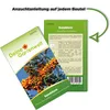 Sanddorn  Samen - Hippophae rhamnoides - Sanddornsamen - Produktbild-Vorschau 3