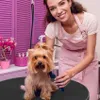 drehbarer Trimmtisch 60cm für Hunde, Katzen und Haustiere Produktbild-Vorschau 7