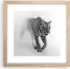 Gerahmtes Poster - Rahmen in heller Eiche - Tiger Monochrom Produktbild-Vorschau 1