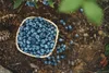 Erde für Heidelbeeren und Preiselbeeren 50l - Biovita sauer Produktbild-Vorschau 8
