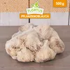 Artikelbild 5 von 'Winterpflanzknoblauch Messidrome' aus der Kategorie Winterpflanzknoblauch Produktbild-Vorschau