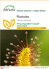 SAFLAX - Rosiczka - 200 Nasiona - Drosera capensis Podgląd zdjęcia produktu 1