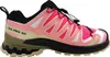 Salomon XA Pro 3D V9 GTX Wanderschuh Rot in Gr. 40 Produktbild-Vorschau 3