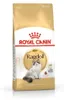 ROYAL CANIN Ragdoll FBN Adult - trockenfutter für Katzen - Produktbild-Vorschau 2