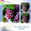 ZMH 4 Stück Glühbirne E14 LED Kaltweiß n Vintage T22 LED Produktbild-Vorschau 6