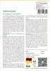 SAFLAX - Topfbaumwolle - Gossypium herbaceum - 12 Samen - Produktbild-Vorschau 3