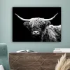 MuchoWow® - Leinwandbilder - Schottischer Highlander - Kuh Produktbild-Vorschau 4