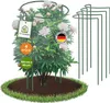 TTL GARDEN Strauchstützen 160x40cm 4er Set – Pflanzenstütze Produktbild-Vorschau 1