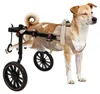 Carrello per cani regolabile in alluminio, adatto a cani di Anteprima dell’immagine prodotto 1