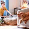 BISSELL Fleckenreiniger 750W 6.5m 2.9l Kunststoffbeh. Anteprima dell’immagine prodotto 3