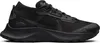 Nike scarpe Pegasus Trail 2 Gtx, DC8794001 Anteprima dell’immagine prodotto 1