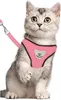 Harnais pour chat Jumada/Harnais pour chat/Harnais pour Voir les images du produit 1