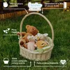 Creative Home Cesto Vuoto Bianco | 37 x 30 x 37cm | Ovale Anteprima dell’immagine prodotto 5