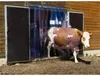 Streifenvorhang PVC transparent auf Rolle | 20cm x 2.00mm | Produktbild-Vorschau 3