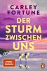 Der Sturm zwischen uns Produktbild-Vorschau 1