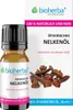 Bioherba  Ätherisches reines Nelkenöl 10ml Produktbild-Vorschau 1