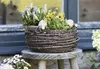 Pflanzkorb "Birkenreisig" groß Ø 30 cm, Pflanzschale, Produktbild-Vorschau 1