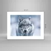 Poster - Poster ohne Rahmen - Wolf Raubtier Wildheit - Produktbild-Vorschau 4