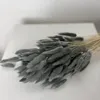 Lagurus Hasenschwanz Samtgras Trockenblumen 60-70cm DIY Produktbild-Vorschau 12