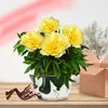 Pfingstrosen Pflanzen Winterhart Itoh Yellow Passion - 1 Produktbild-Vorschau 2