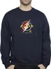 DC Comics - Sweatshirt für Herren BI47270 (XL) (Marineblau) Produktbild-Vorschau 3
