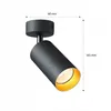 MasterLED Deckenstrahler LED Gold GU10 schwarz matt Produktbild-Vorschau 9