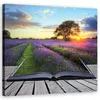 Leinwandbild landschaften - violett 30x30 cm Feeby lila Produktbild-Vorschau 1