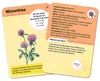 Expedition Natur. 50 heimische Blumen Produktbild-Vorschau 6