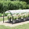 A greenhouse structure with potted flowers inside, set in a garden. Podgląd zdjęcia produktu