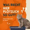 nimo® Katzenklo Geruchsentferner | Geruchsneutralisierer Produktbild-Vorschau 4