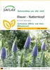 SAFLAX - Blauer - Natternkopf - Echium fastuosa - 100 Samen Produktbild-Vorschau 1