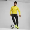 Puma Teamgoal Trainingssweat Herren - Gelb Produktbild-Vorschau 5