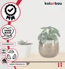 Two potted plants are displayed on a wooden shelf against a white background, with various marketing icons and text on the left side. Produktbild-Vorschau