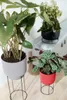 b.for studio Schale 30cm  living beton Produktbild-Vorschau 8
