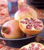 BALDUR Garten 1x Granatapfel, Pflanze im 9x9 cm-Topf, Produktbild-Vorschau 2