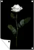 MuchoWow® 40x60 cm Outdoor-Poster Gartendeko Sichtschutz Produktbild-Vorschau 1