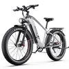 E-Bike Cityrad F26lite 48V 18Ah 864Wh 100km Reichweite Produktbild-Vorschau 1