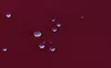 Close-up of water droplets on a burgundy fabric surface. Podgląd zdjęcia produktu
