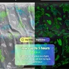A split image showing a glow-in-the-dark dinosaur blanket. The left side shows the blanket in daytime with colorful dinosaurs, and the right side shows it glowing in the dark with green outlines of dinosaurs and leaves. Text overlays provide information ab Náhled obrázku produktu